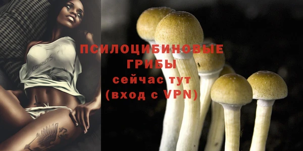 герыч Алексин