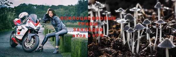 винт Алексеевка
