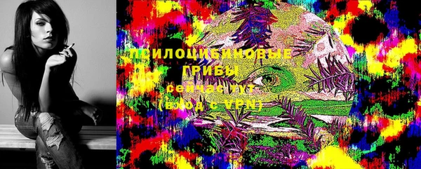 герыч Алексин