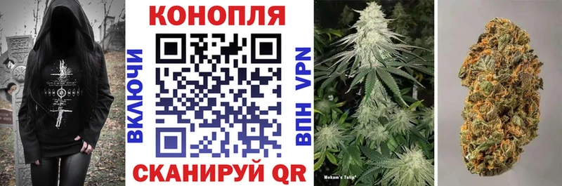 купить наркотик  Сухой Лог  Каннабис White Widow 